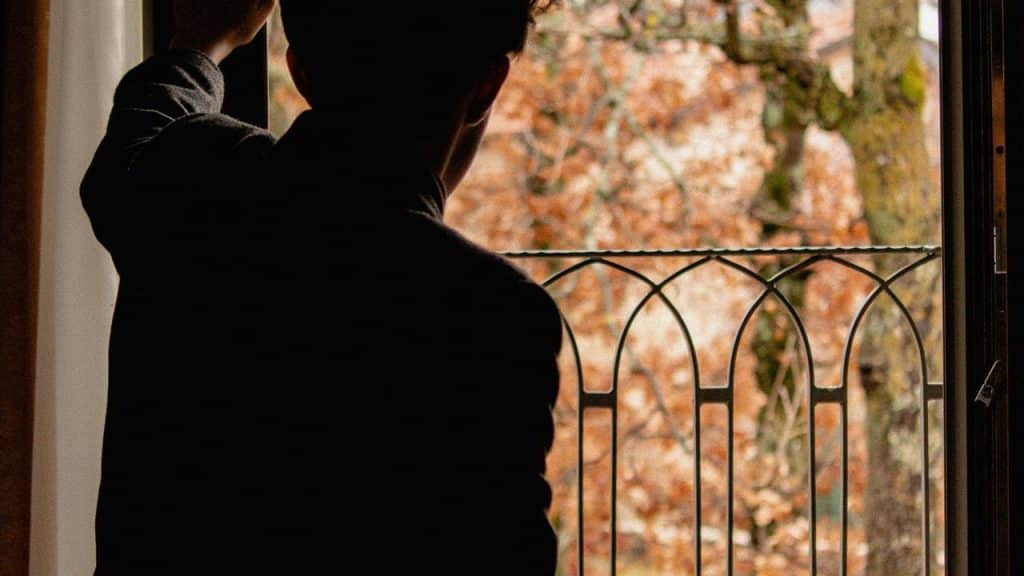 A person standing by a window looking outside at autumn trees.