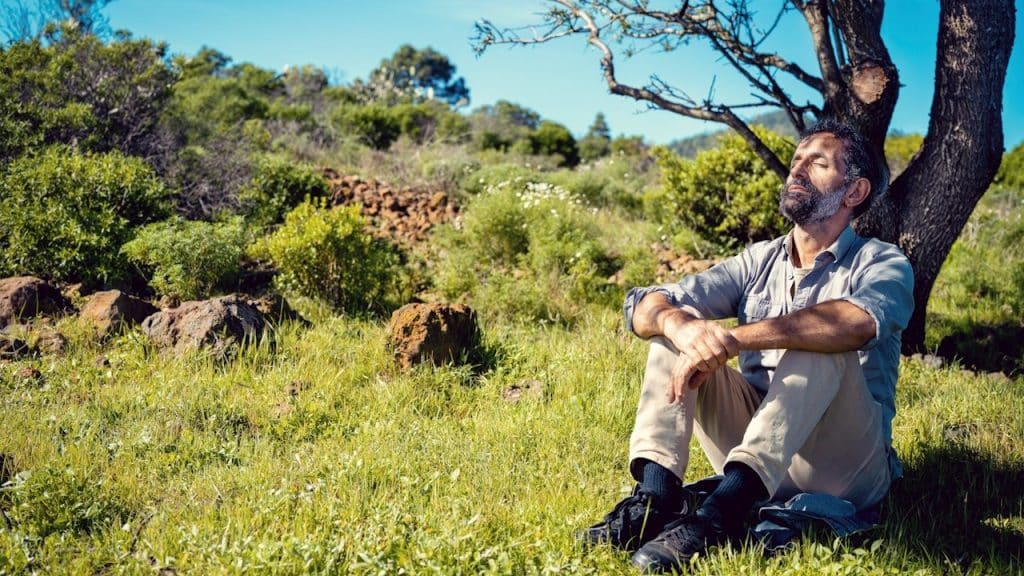 A bearded man relaxing with his eyes closed by sitting under a tree outdoors.