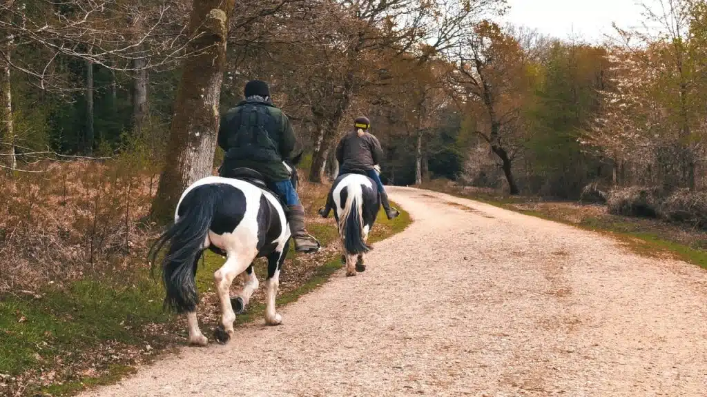 A couple riding horses 