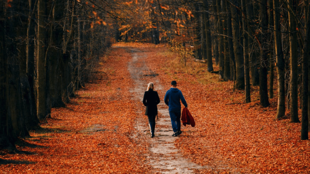 A couple strolling in a forest parkway