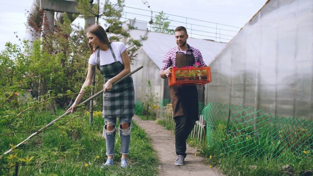 A couple gardening together
