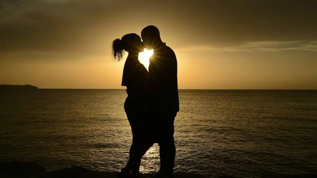 A silhouette of a couple standing next to each other against the sun.