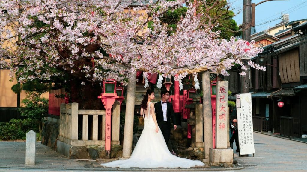 A bridal couple in formal wear standing beneath a blossoming cherry tree in a traditional Japanese setting.