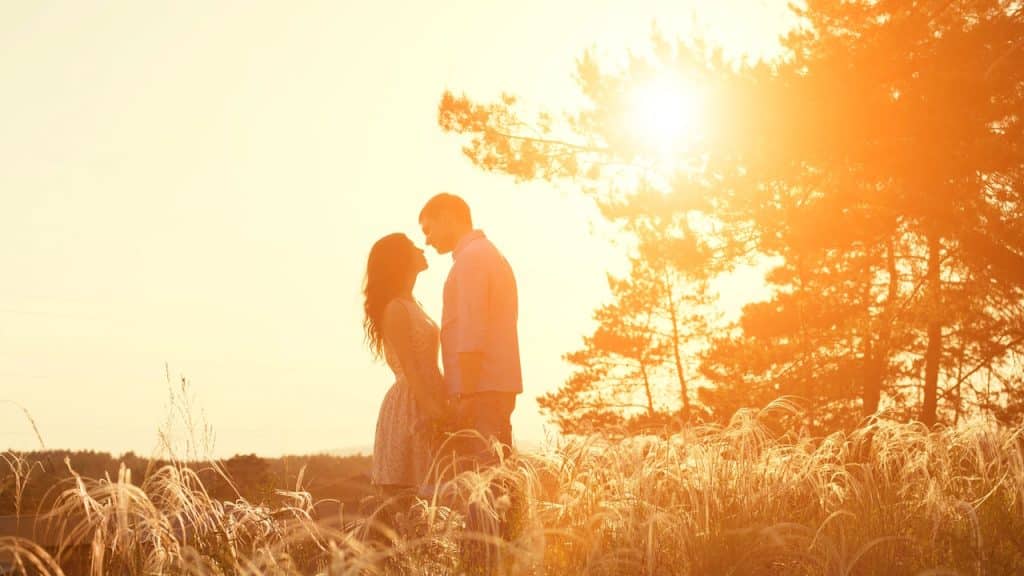 Romantic silhouette of a couple facing each other in a grassy field at sunset.