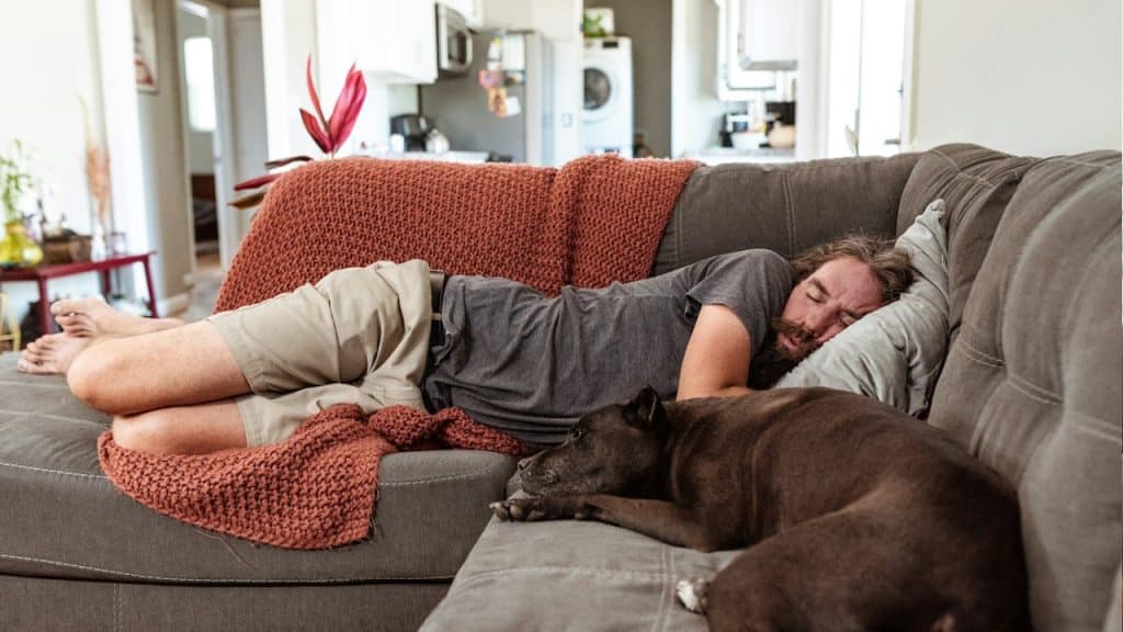 A bearded man sleeping on an unkempt couch alongside his dog.