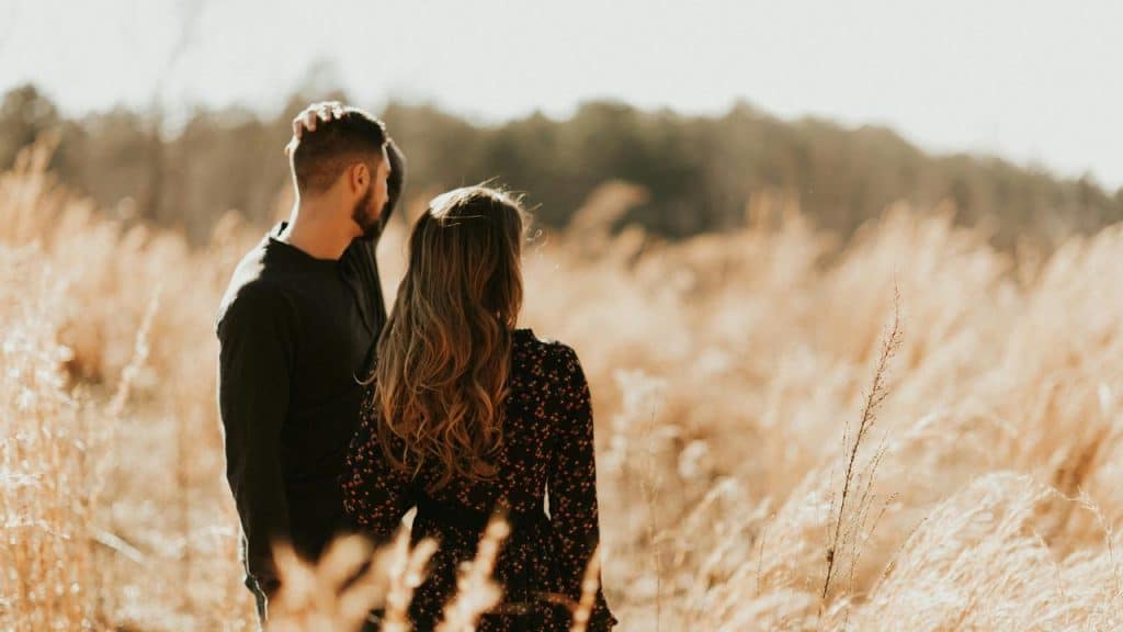 A couple stands close together in a golden field, gazing into the distance on a sunny day.