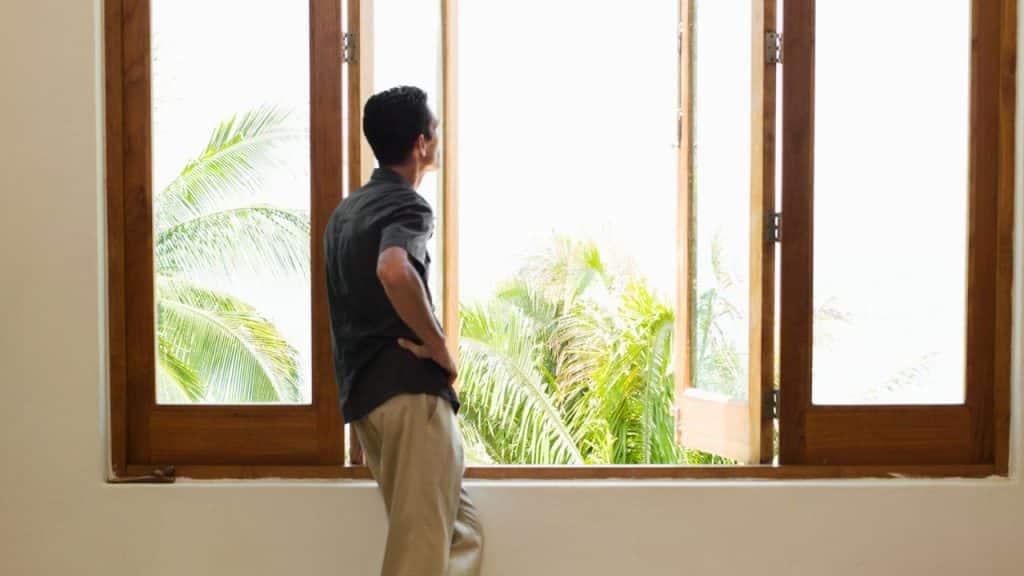 A man stands in front of a window looking out at bright green palm trees.