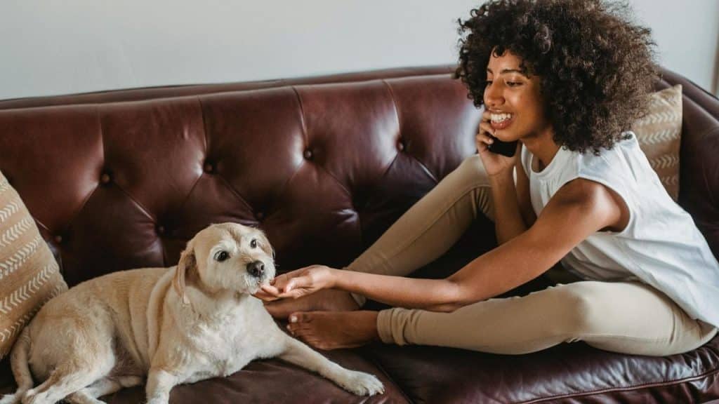 A woman sitting on a couch talking on the phone while petting her dog.