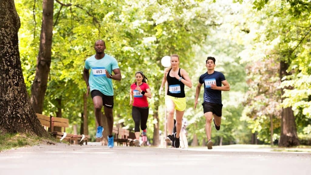 Four runners wearing bib numbers on a wide path in a sunny, tree-filled park.