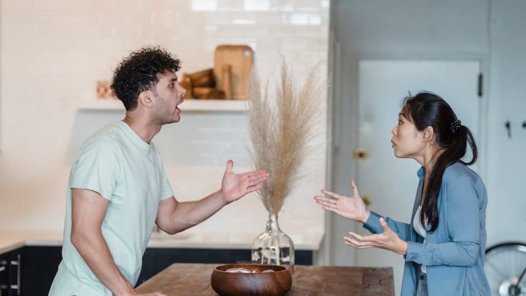 A man and woman are angrily arguing, standing on opposite sides of a kitchen table.