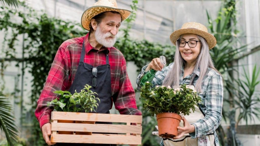Older couple wearing straw hats and aprons tending to plants in a greenhouse.
