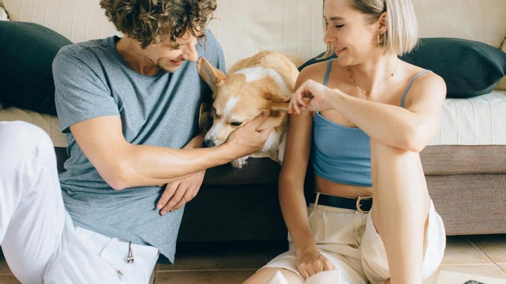 A couple sitting on the floor playing with a corgi dog.