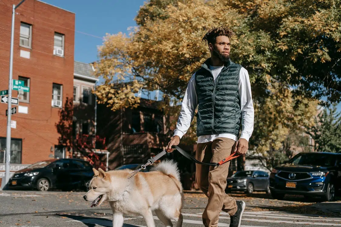 A man with a dog