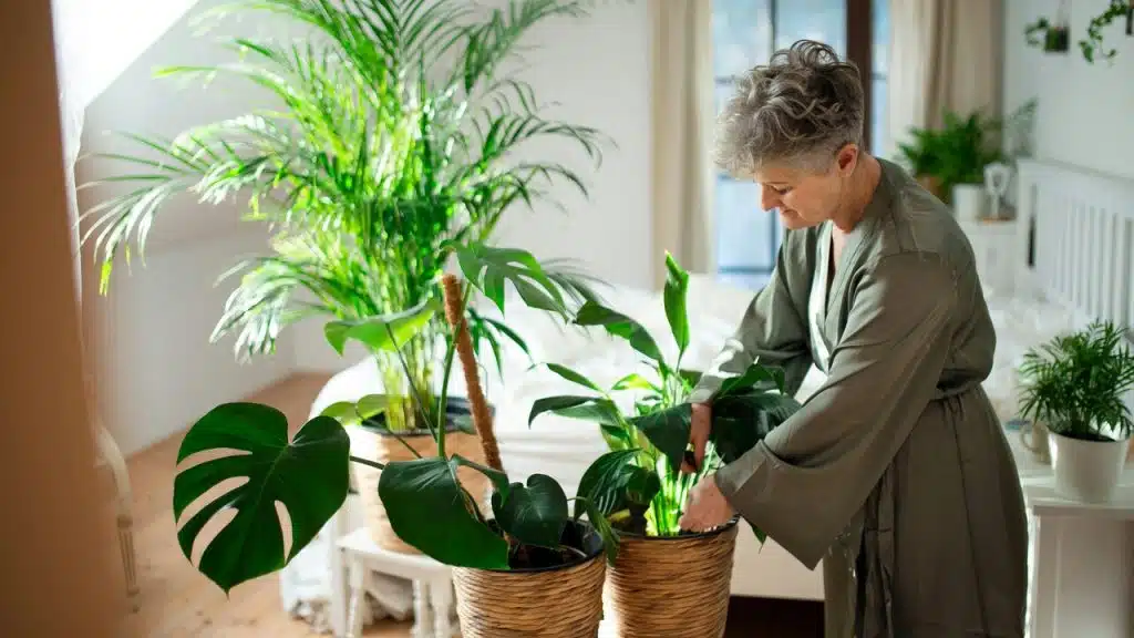A woman taking care of her plants at home