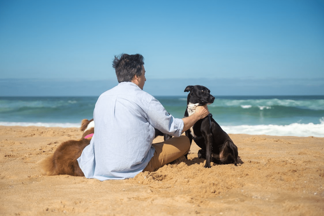 A man with dogs