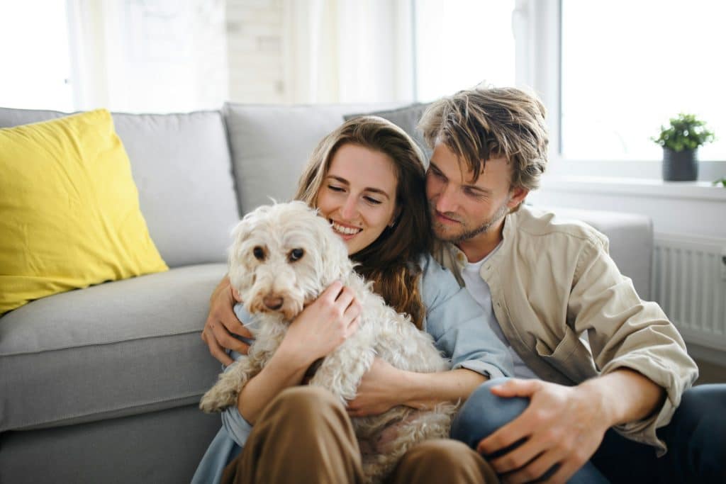 A couple spending time in the living room with their dog.