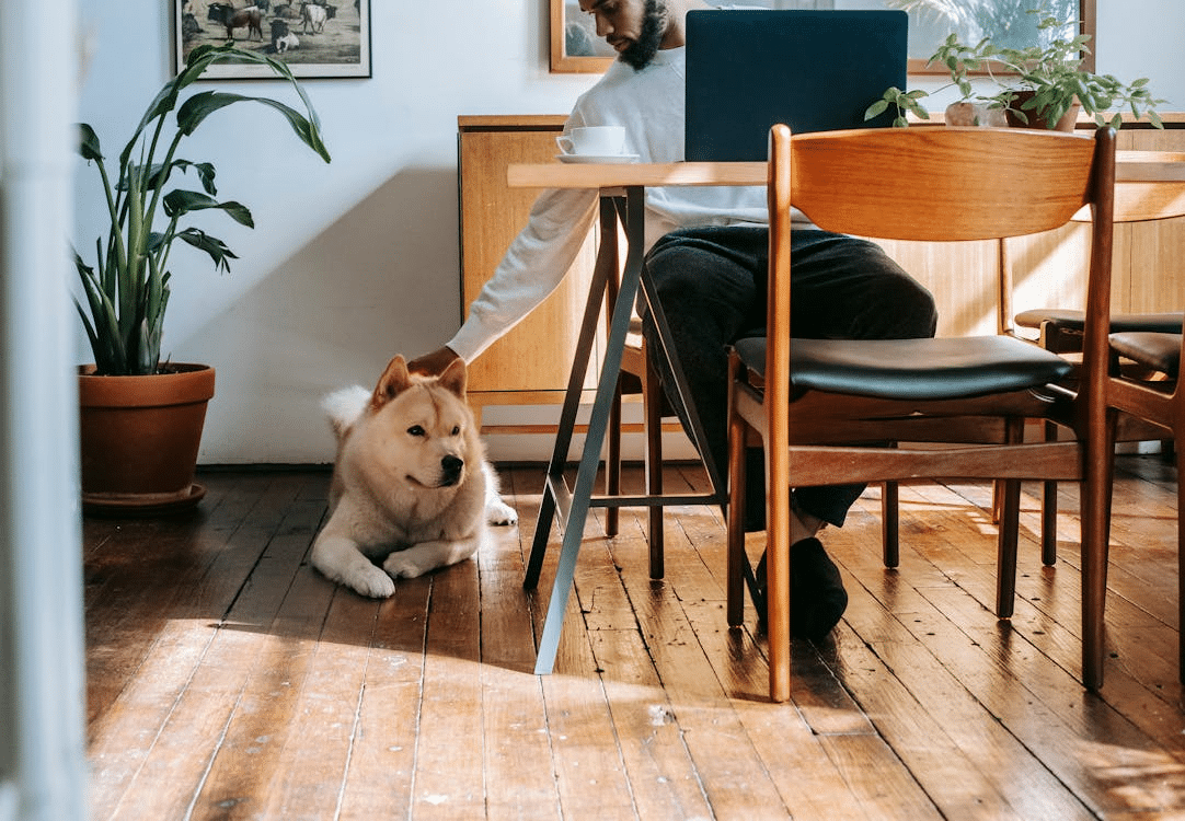 A man with a dog