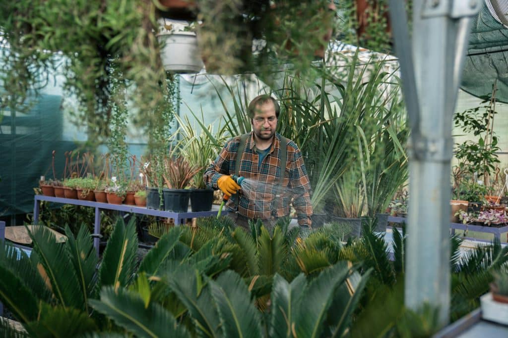 A man watering the plants.