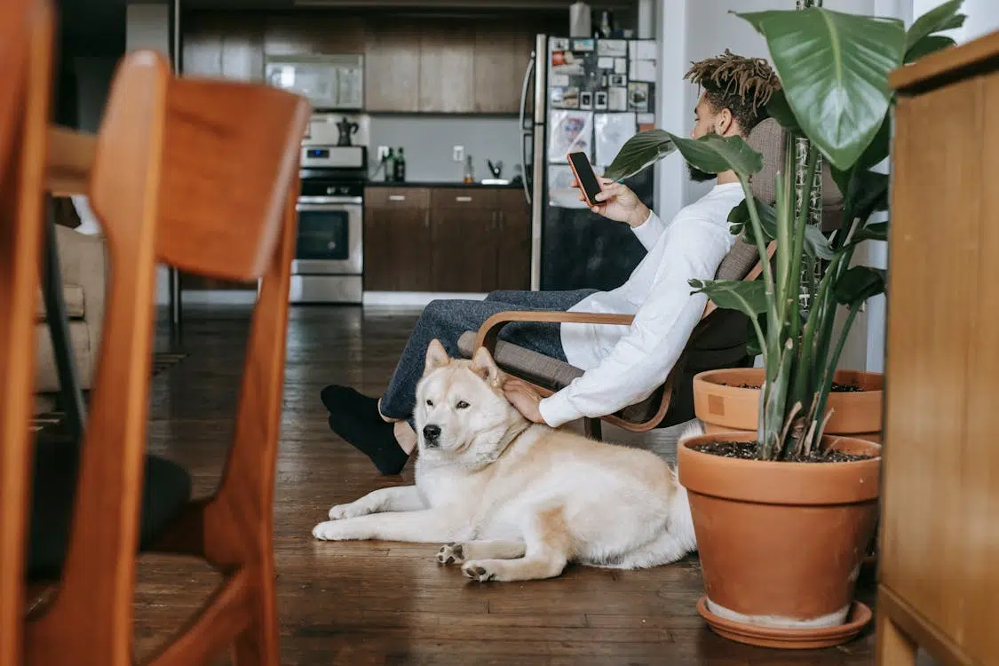 A man using a phone while petting a dog