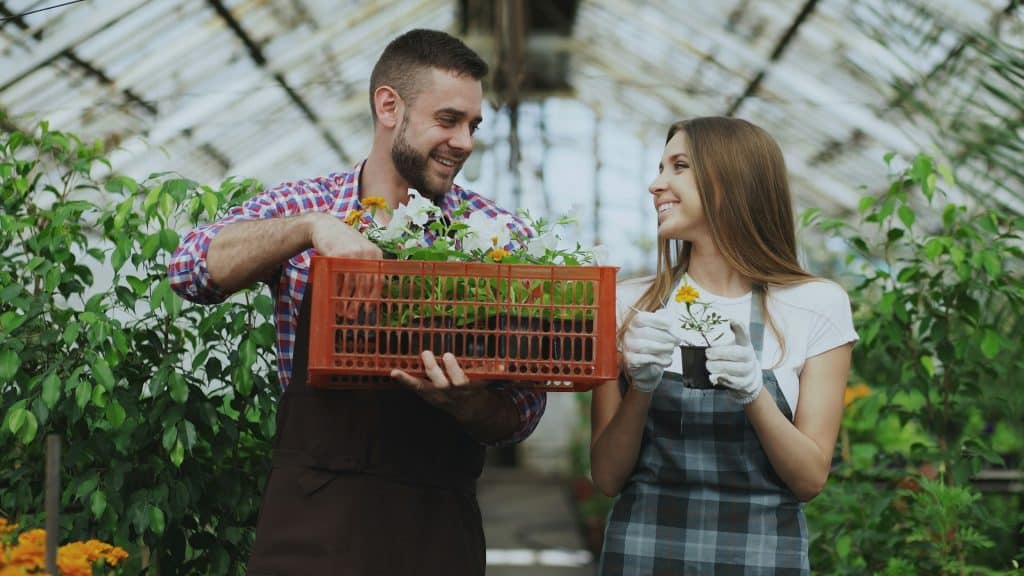 A man helping the woman in the greenhouse.