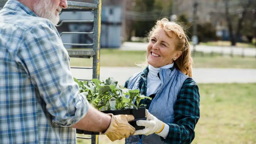 A senior couple working together outdoors, holding a tray of plants.