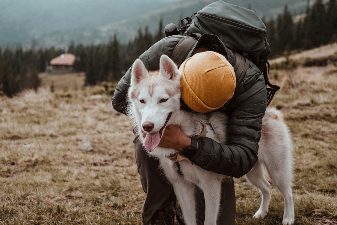 A man with a dog