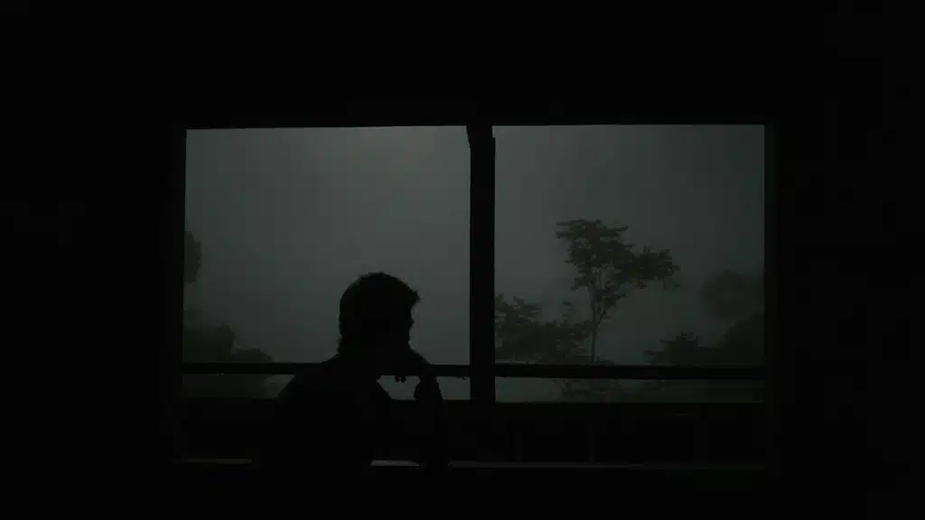 A dark, silhouette shot of a person looking out a window on a foggy or dark day.