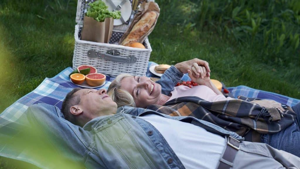 A couple lying on a picnic blanket holding hands and smiling.