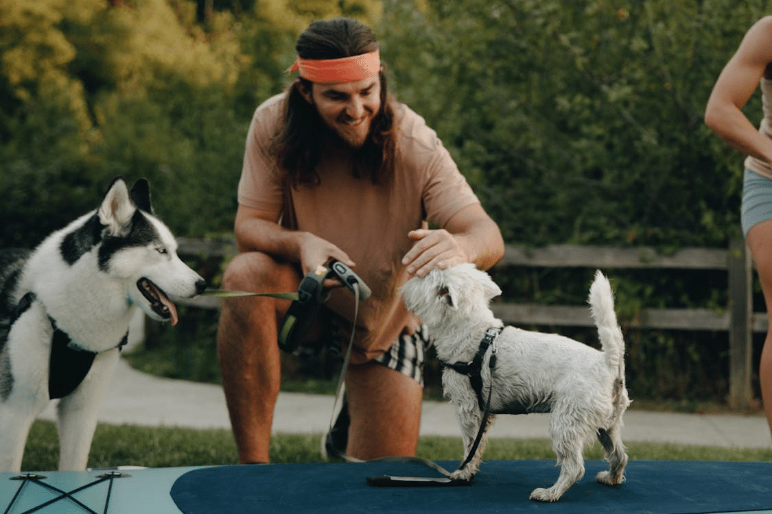 A man with dogs