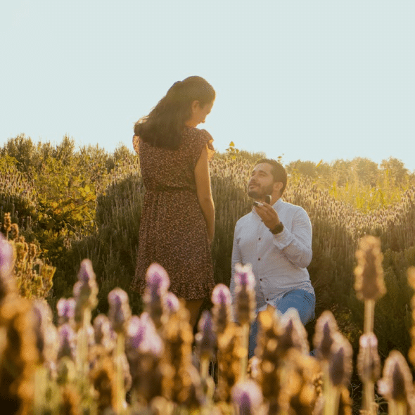 A man proposing to a woman