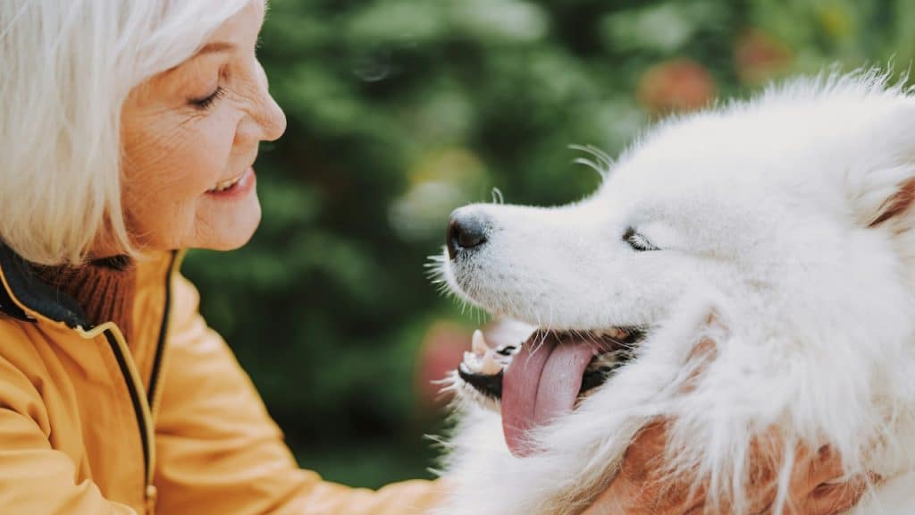 A smiling adult lady admiring her cute dog.