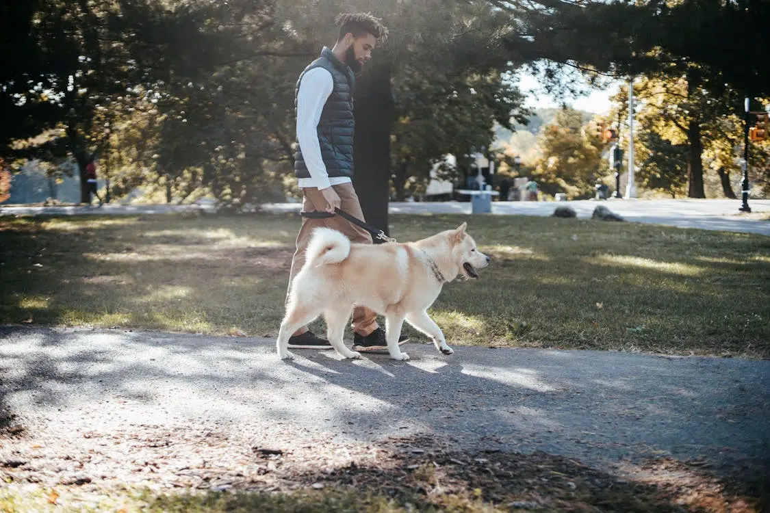 A man with a dog