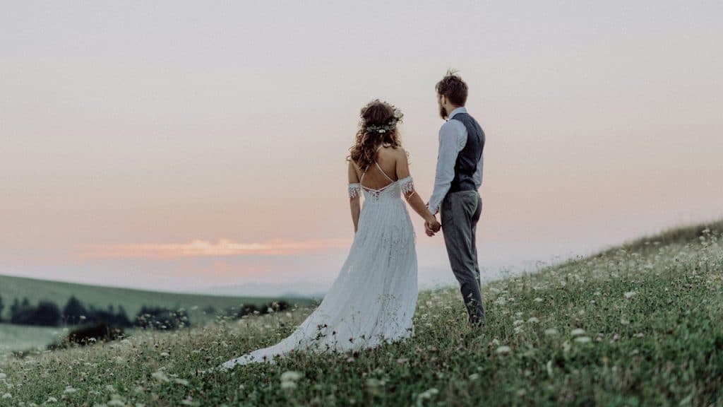 A married couple standing on a lush hill while holding hands and looking at a picturesque view.