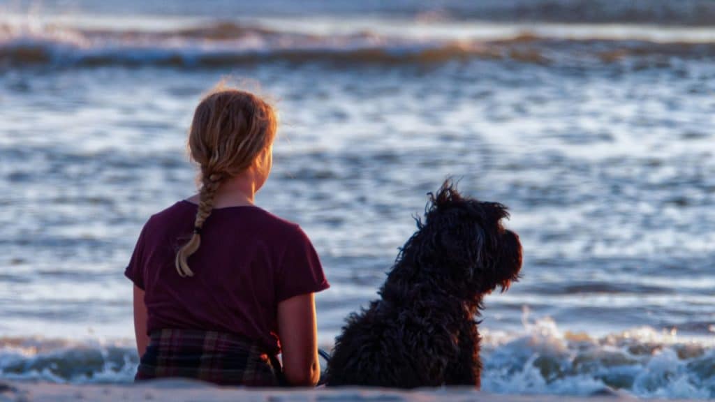 Woman with a braided ponytail and a black shaggy dog sitting on a beach, looking out at the ocean.