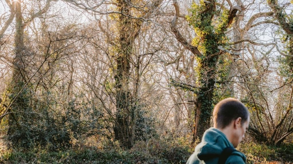 A person walking in a forest.
