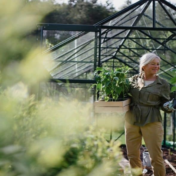A woman gardening at a greenhouse