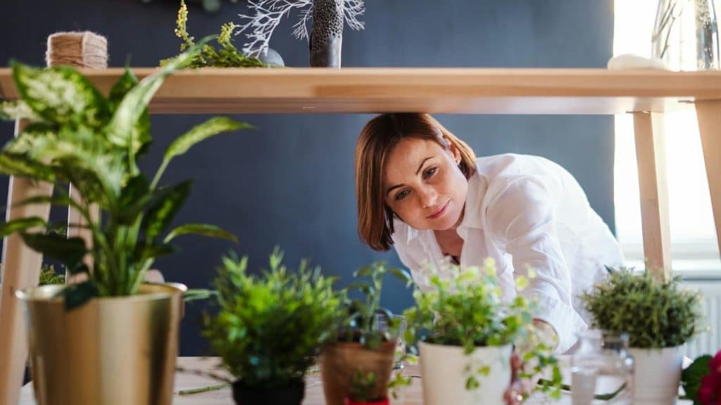 A woman arranging potted plants on a table indoors.