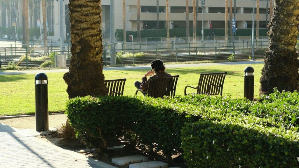 A person sits on a park bench outdoors, viewed from behind, facing a sunlit grassy area.