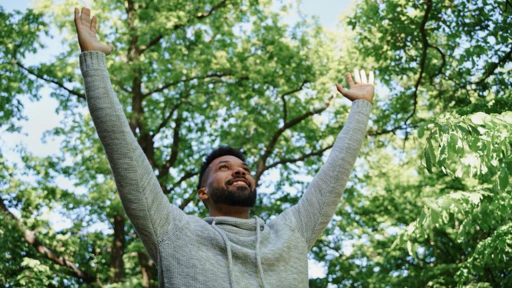 A smiling man in a grey sweater raises both arms toward green trees and sunlight.