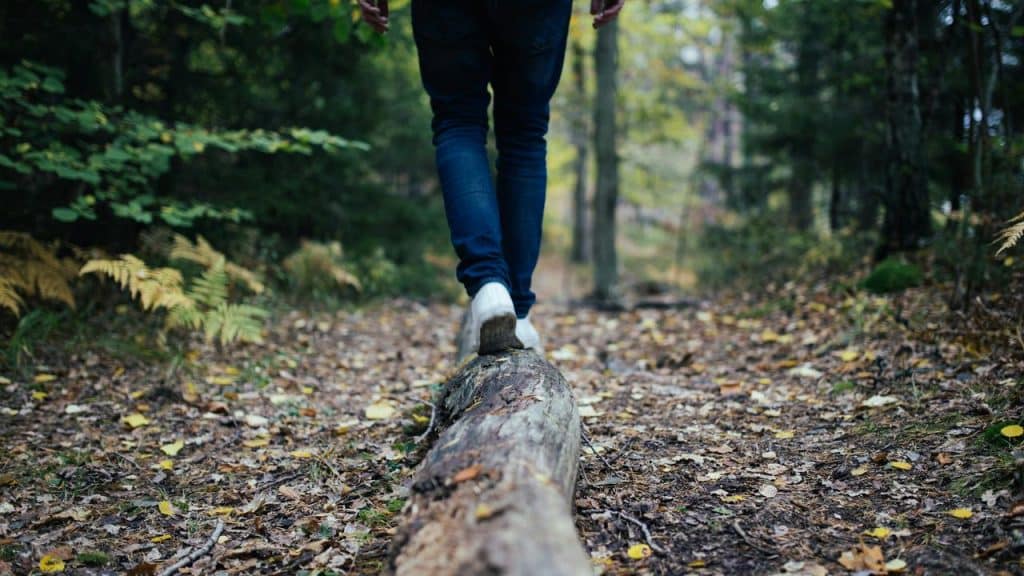 A person walking along a fallen log in a wooded area.