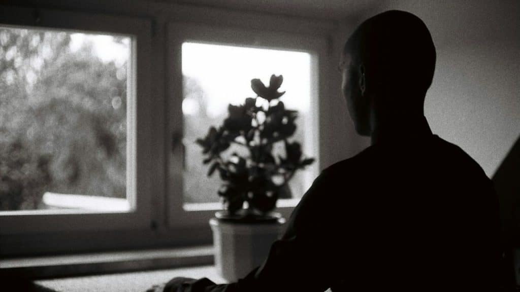 A dark silhouette of a person sits indoors, looking out a window near a plant.
