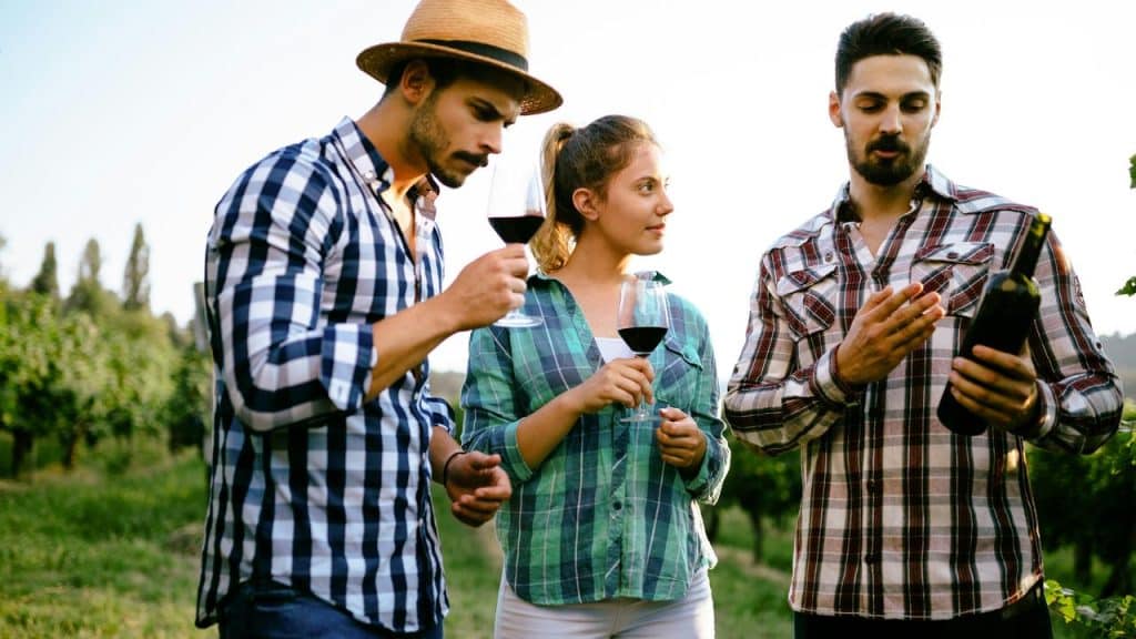 A group of friends tasting wine together in a vineyard.