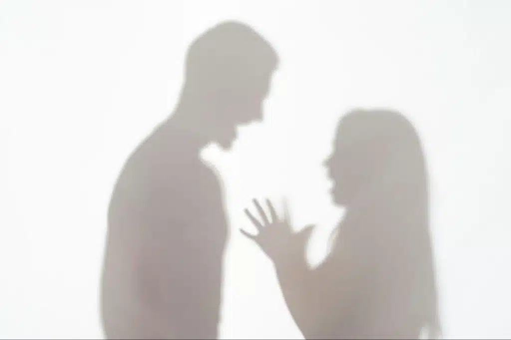 A shadow of a fighting couple