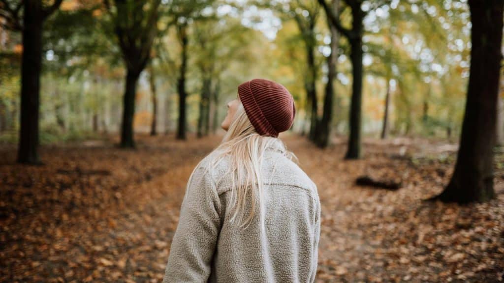 A person walking through a forest in autumn.
