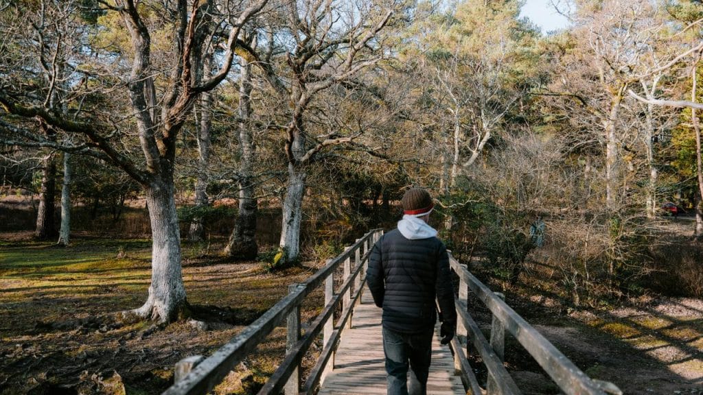 A person walking across a wooden bridge through a wooded area.
