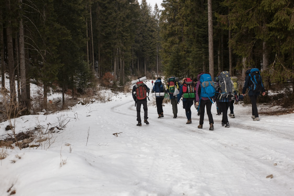 Mountaineers walking on snow
