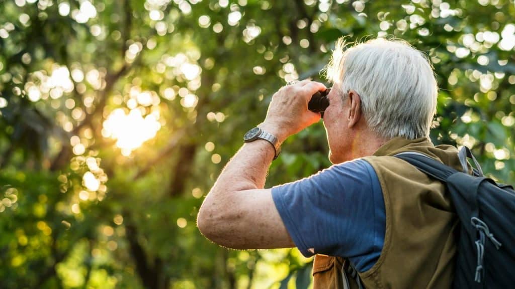 An older man using binoculars to look into a sunlit forest.