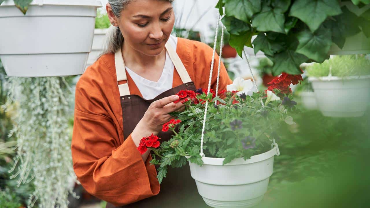 A woman tending to flowers in a hanging pot.