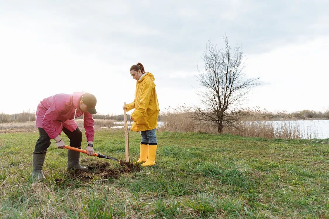 A man and a woman volunteering