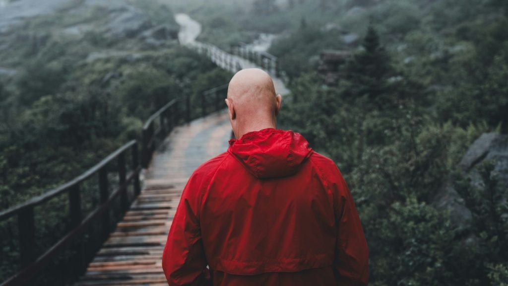 Rear view of a man in a red jacket walking on a wooden boardwalk through greenery.